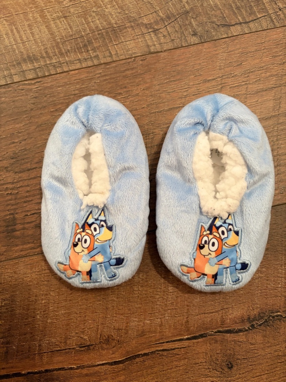 Bluey slippers